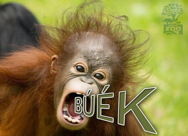 Boldog új évet kívánunk