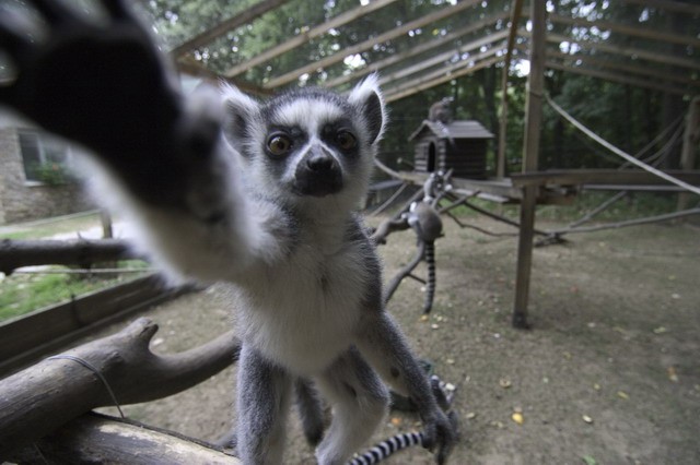 1% nekünk sokat jelent! SZÁMÍTUNK RÁ(d)!