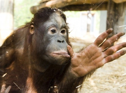 SZÁMÍTUNK RÁ(d)! 1% sokat számít!