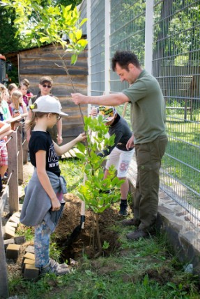 Tovább bővült az Év fája fasor Állatparkunkban