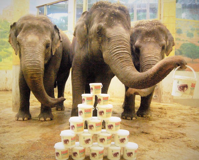 Elefánt szuvenír a növényeknek