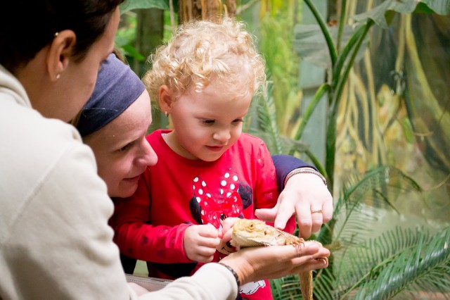Nagy sikerrel zajlott az Állatok Világnapja!