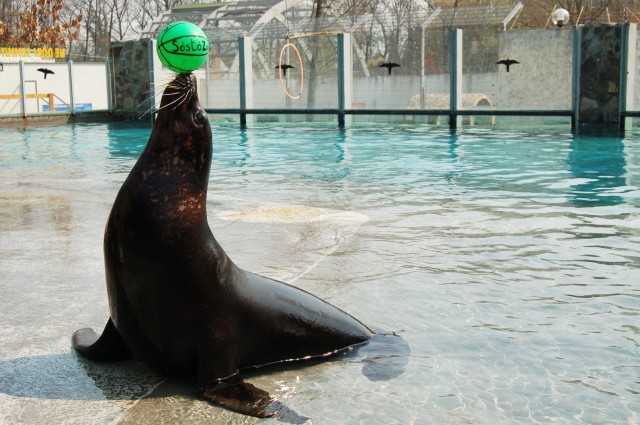 Húsvétkor is különleges élményekkel vár az Állatpark!