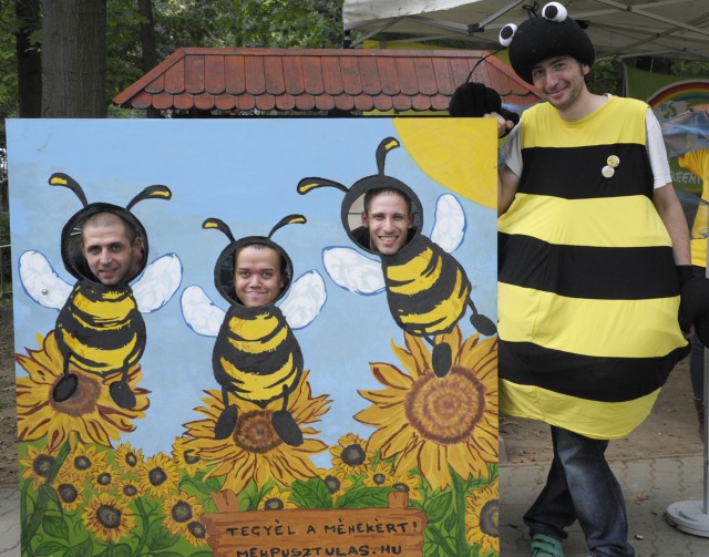 A méhekért kampányolunk a Greenpeace Magyarországgal közösen!   