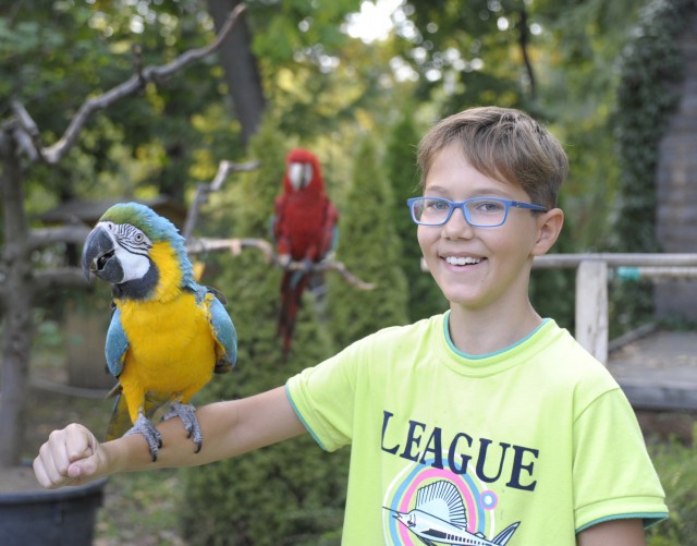 Óriási érdeklődéssel zárult az Állatok világnapja!