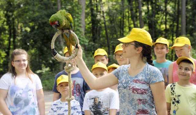 Idén is lesz Zoosuli!