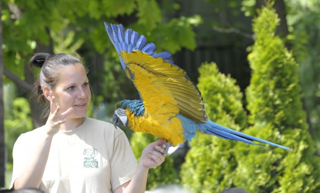 Gyere, s tekints a kulisszák mögé! 