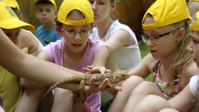 Hatalmas érdeklődéssel zárult a nyári tábor
