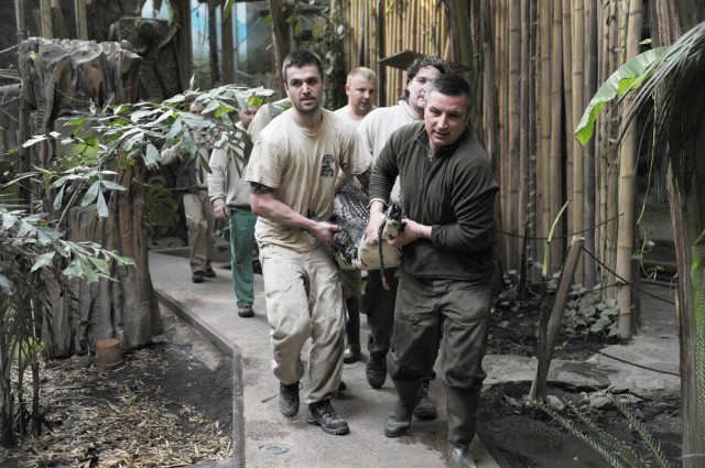 A Viktória ház utolsó lakói is  betelepítésre kerültek!