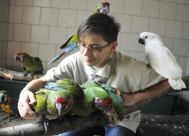 Színpompás papagáj fiókák cseperednek a Nyíregyházi Állatparkban!