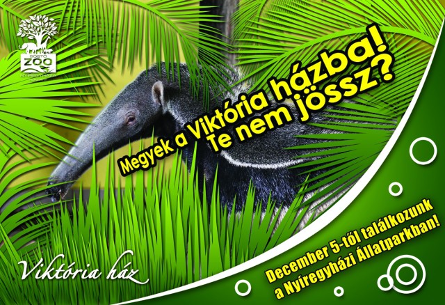 December 5-én nyílik a Viktória ház!