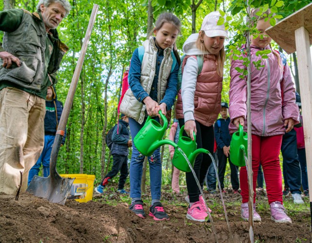 Madarak és fák napja volt Állatparkunkban