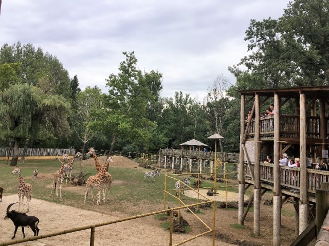 A Nyíregyházi Állatpark lett az Év Turisztikai Attrakciója 2021-ben!