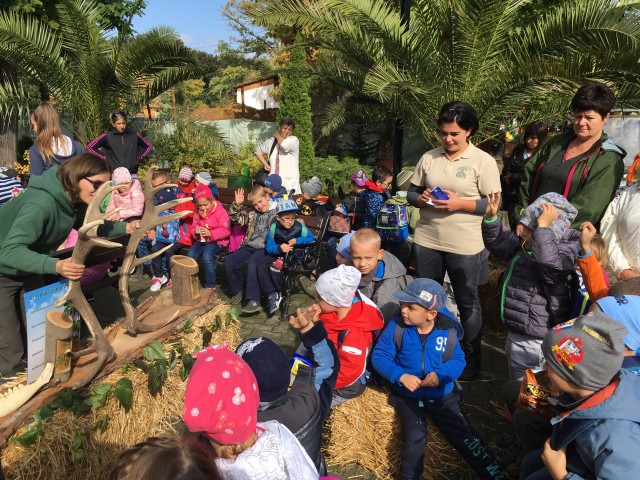 Ragyogó napsütésben zajlott az Állatok Világnapja!
