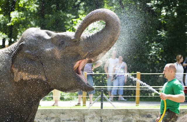 Állati élmények a Nyíregyházi Állatparkban!  