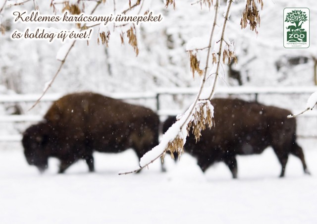 Kellemes karácsonyi ünnepeket