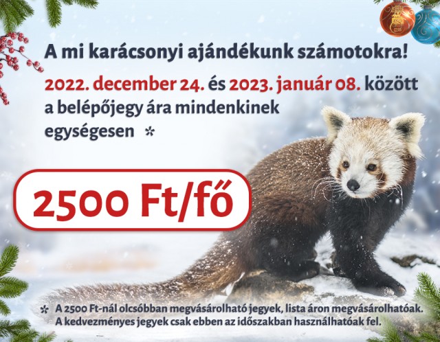 Van egy karácsonyi ajándékunk a számotokra!