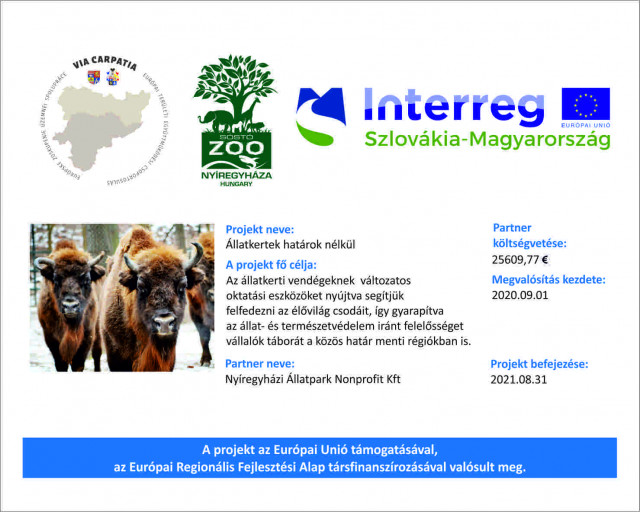 Interreg Projekt kezdődött Állatparkunkban