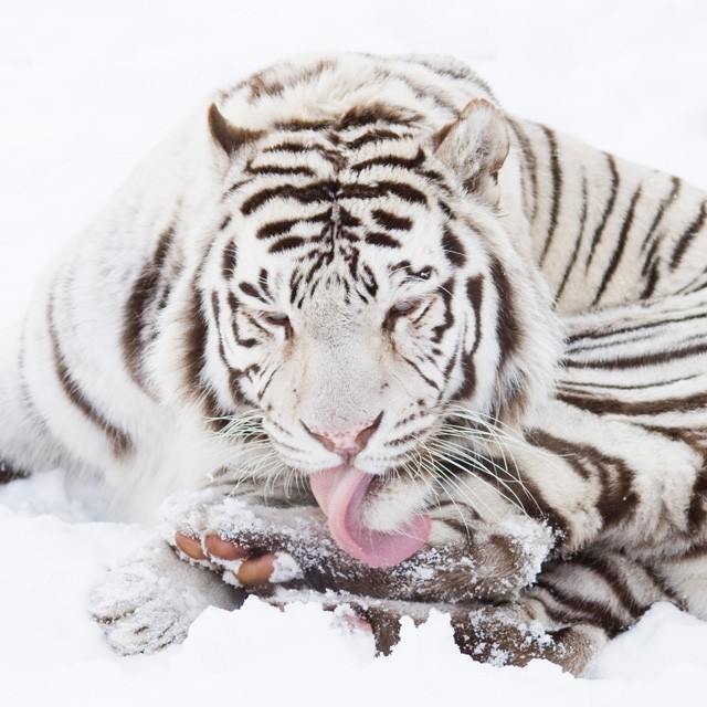 2011-es év értékelése