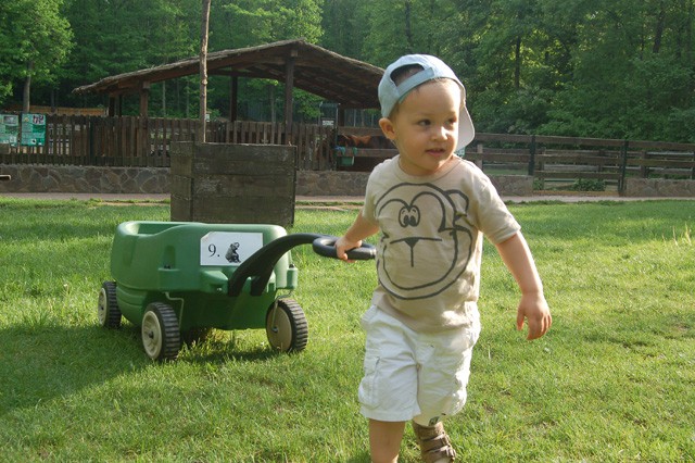 Gyermeknapi fotópályázat!