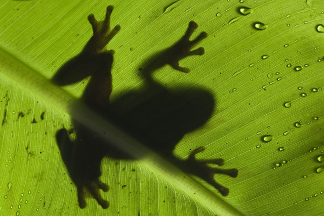 Lájkolj, szavazz és nyerj!