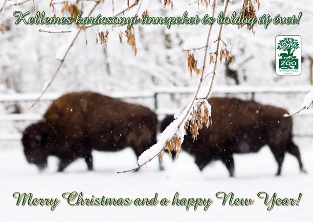 Kellemes Ünnepeket!