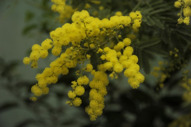 Tavasz az Állatparkban!