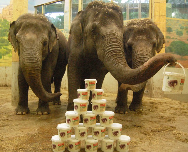 Itt a március, megkezdődik a kerti munkák szezonja!