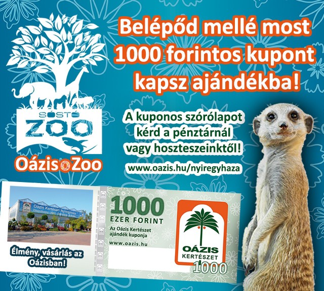 Oázis Ajándékkupon a jegy mellé!