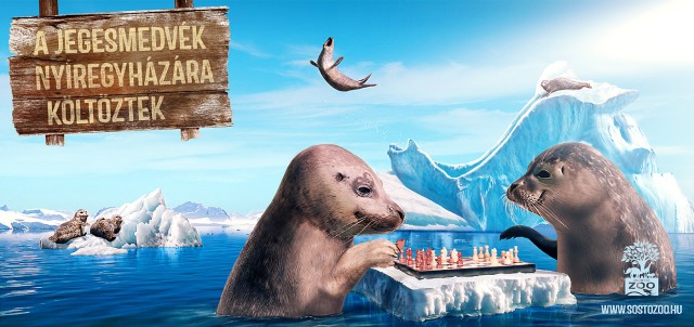 Az év harmadik legkreatívabb kampánya a Nyíregyházi Állatparké