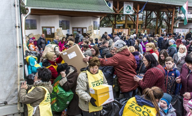35 teherautónyi ajándékot gyűjtött  össze  Állatparkunk a mai jótékonysági napján!  
