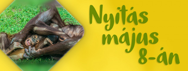 Május 8-tól újra várjuk vendégeinket