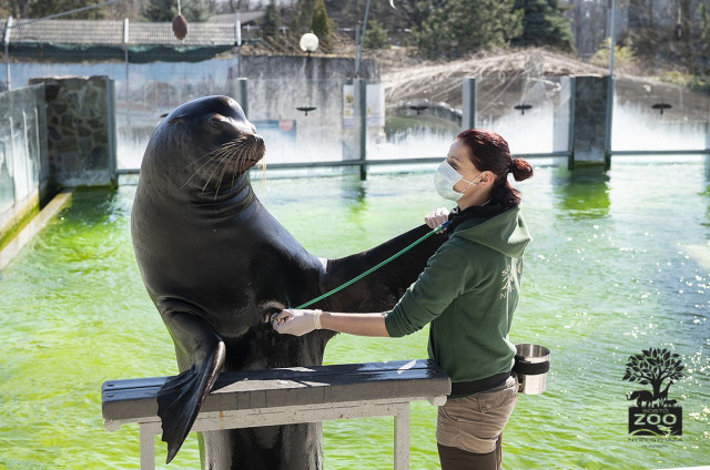 Segítő jegy akció a Nyíregyházi Állatparkban