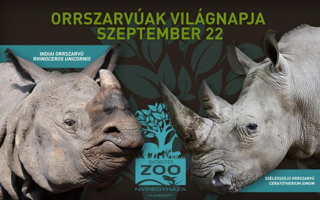Orrszarvúak Világnapja - szeptember 22.