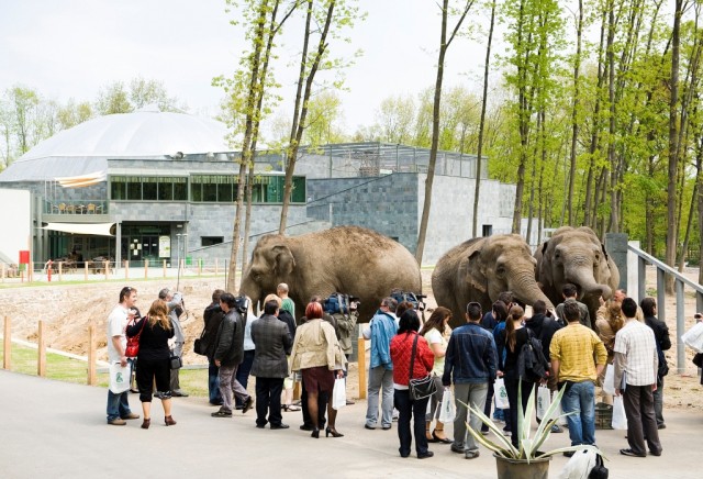 A Nyíregyházi Állatpark kategóriája  legjobb állatkertje Európában