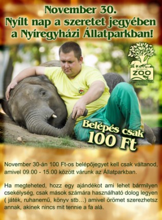 100 Ft-os nap, a szeretet jegyében!