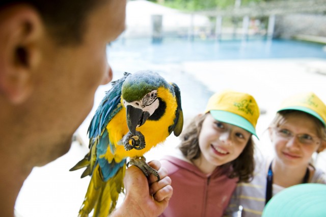 Újra indul a Zoo-suli!